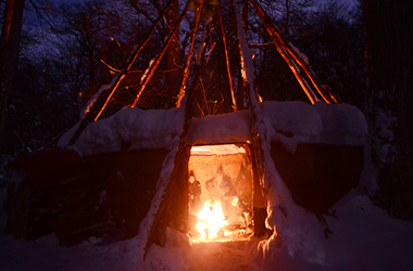 Nieve y Fuego en Ushuaia | Cena, Fogata y Trineo con Huskies